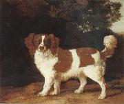 George Stubbs Dog Spain oil painting artist
